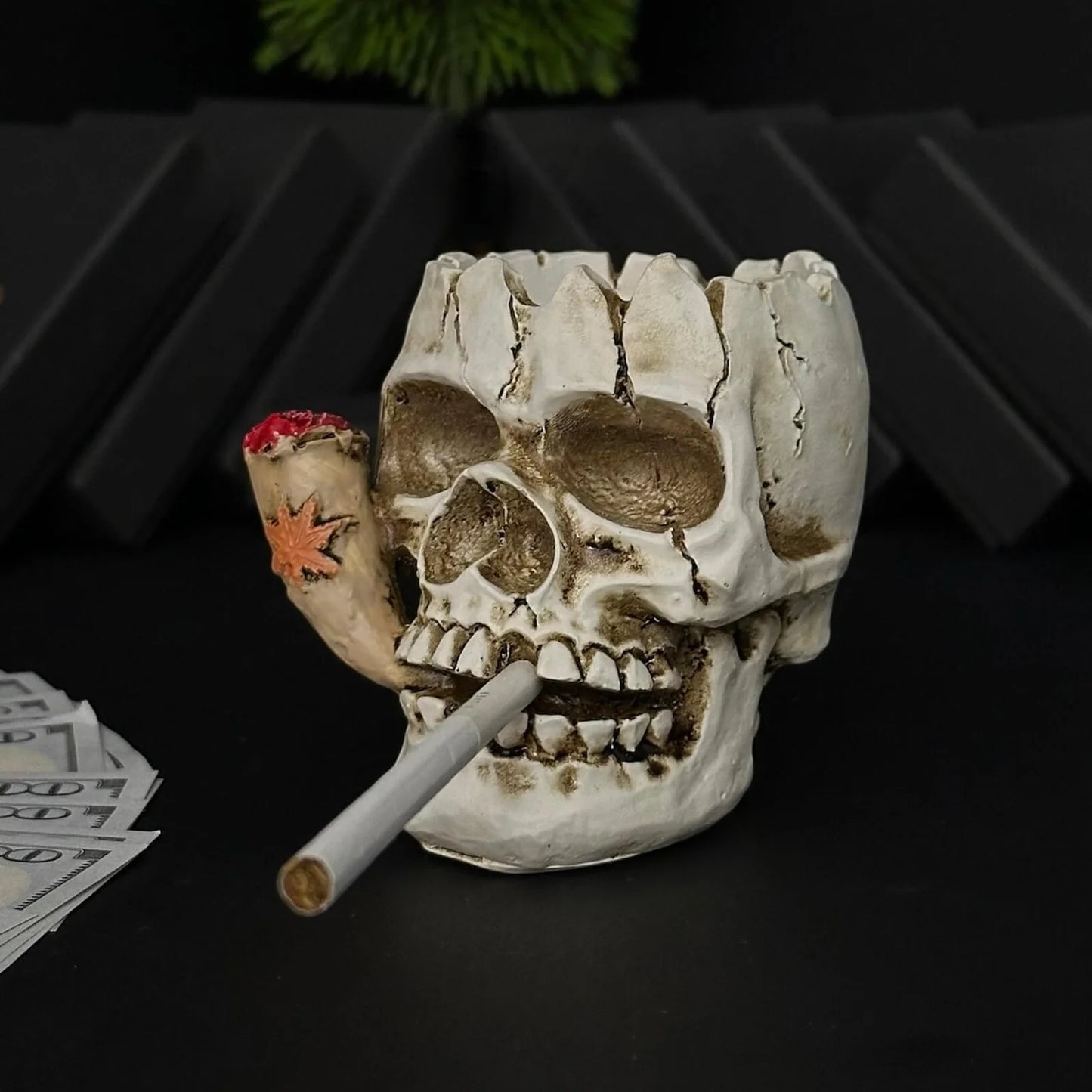 Photoroom_20250918_060948